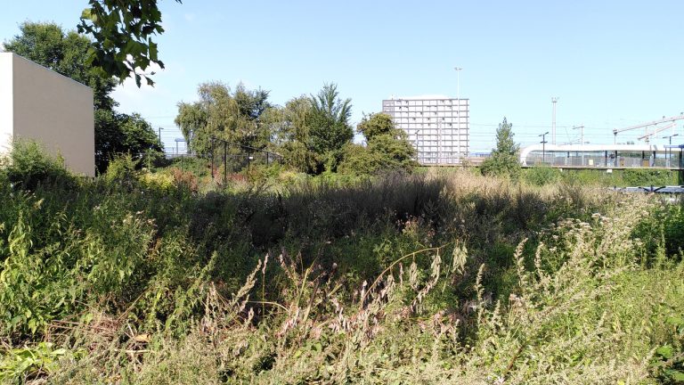 TENT Rotterdam: It’s good to dream big! New commons, new coops: De Nieuwe Meent and De Bundel