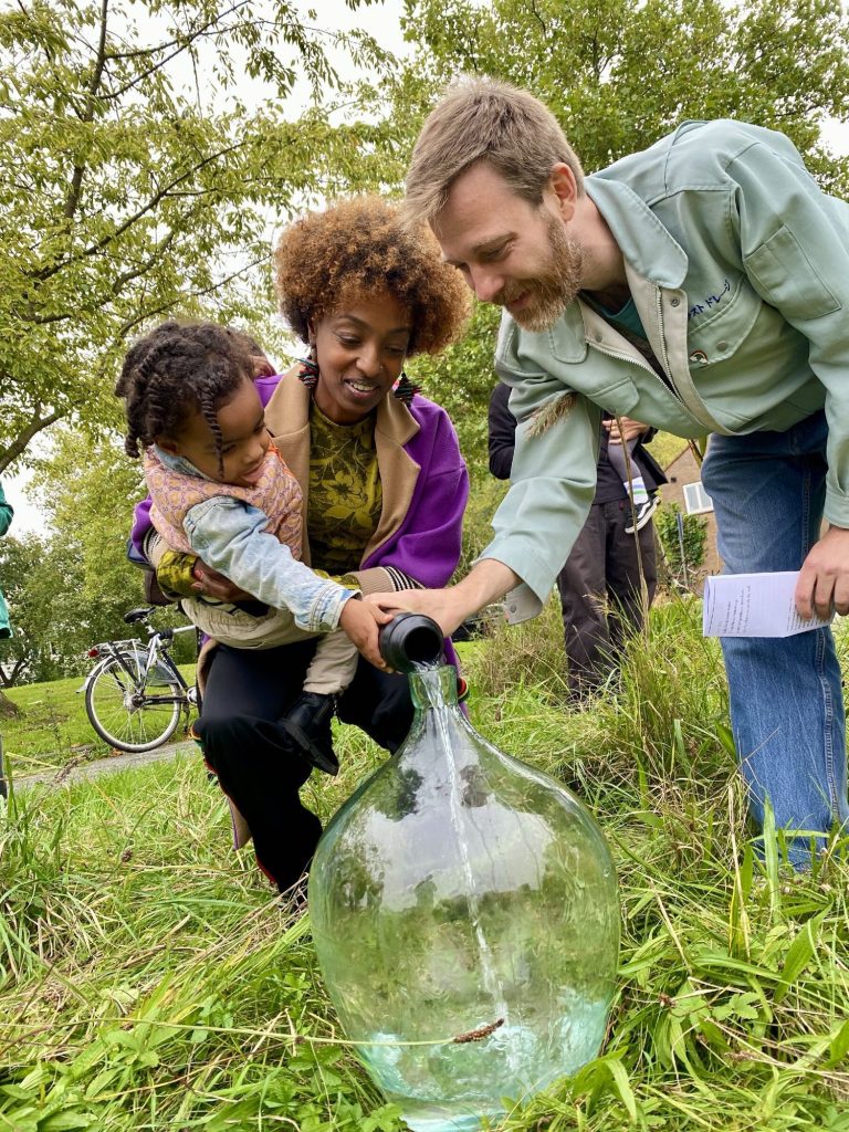 Planting on the plot before construction